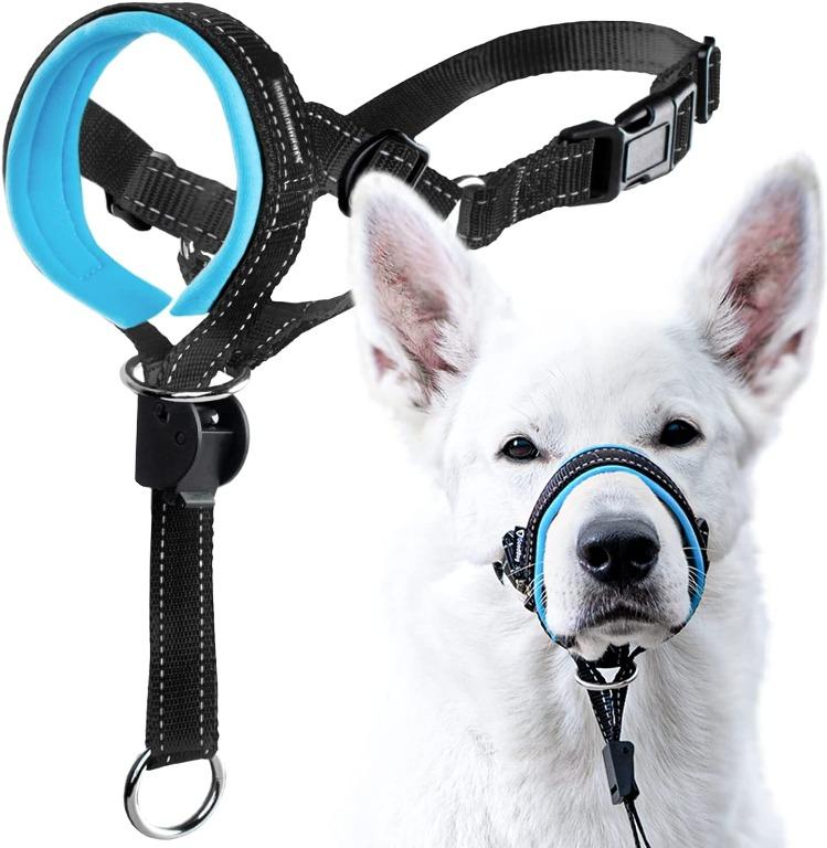 Best headcollar for online dogs that pull