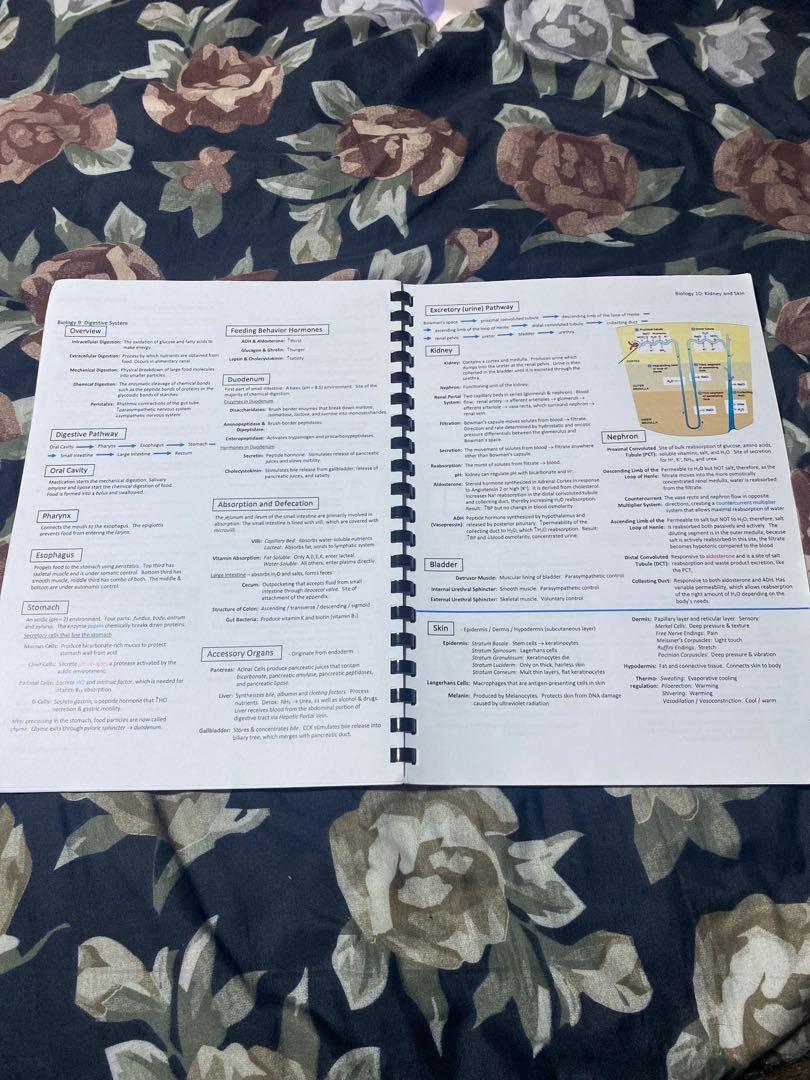 MCAT review sheets, Hobbies & Toys, Books & Magazines, Assessment Books