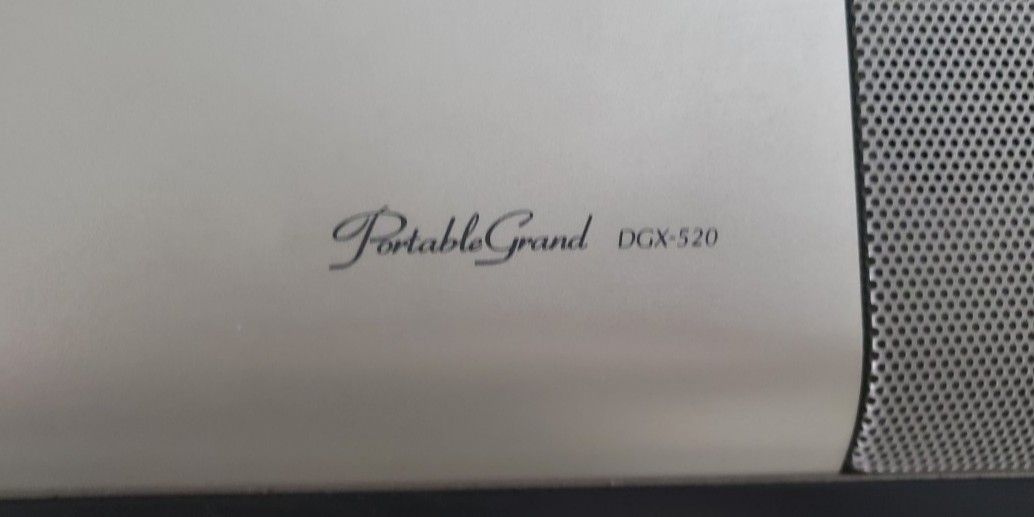 Piano portable grand DGX520 speaker not working, Hobbies & Toys, Music