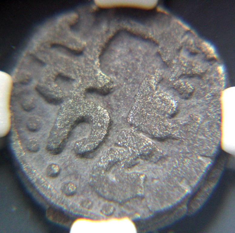南風 貨幣 1984南非克魯格22K金幣0.5盎司- Shiny黃金白銀交易所