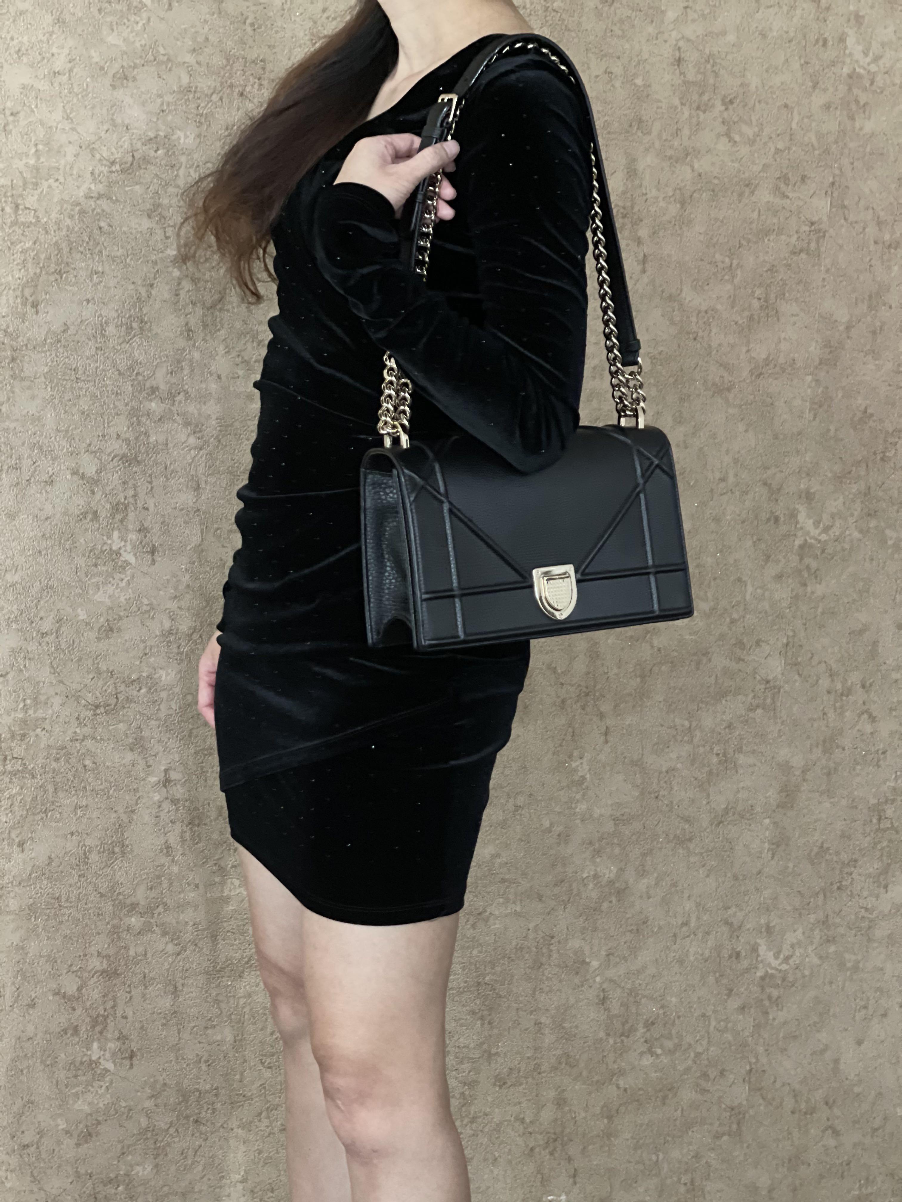 Diorama flap on sale bag