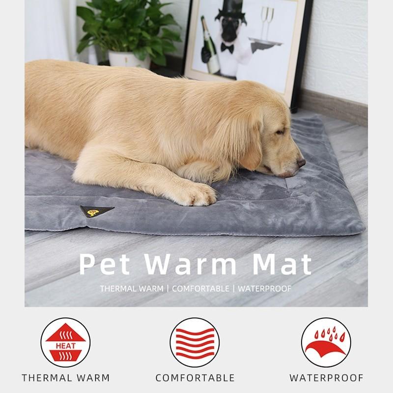 self heating dog blanket