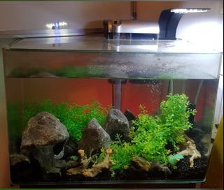 (Category: ) located in . Submitted by Ali.A (Listing ID 1125245727, Image 1). Description: .