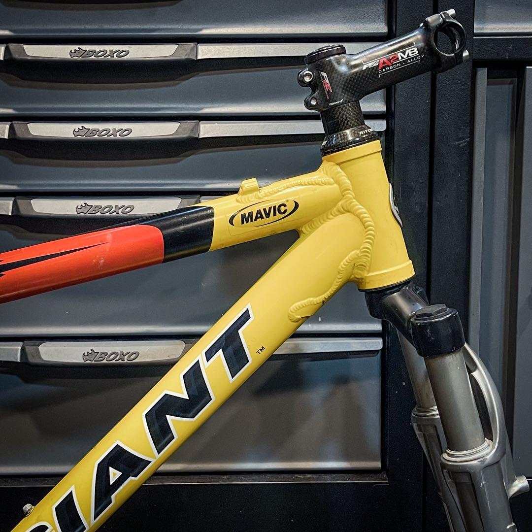 Giant XTC DS 2 Frameset