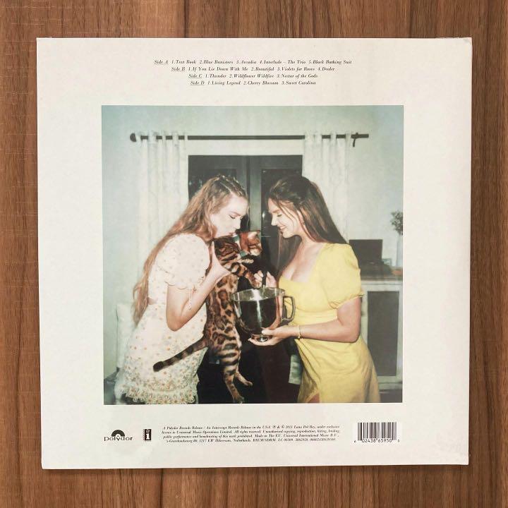 Lana Del Rey Blue Banisters (Red vinyl) 2LP, Hobbies & Toys, Music