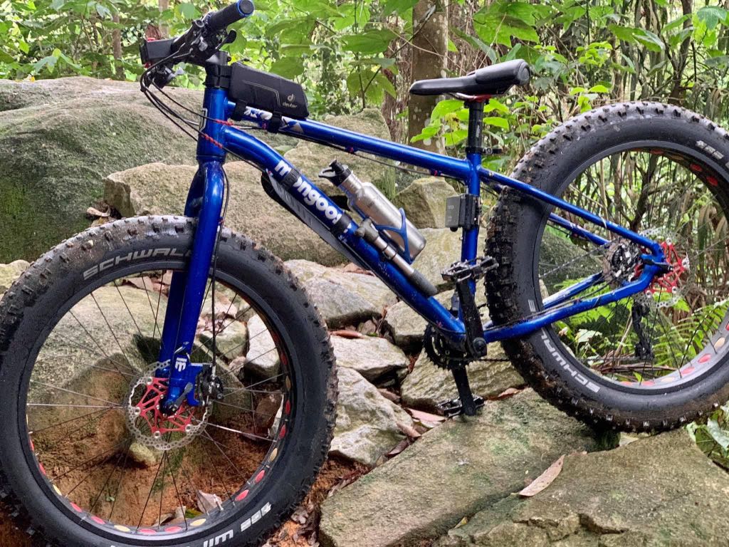 Mongoose argus sales for sale