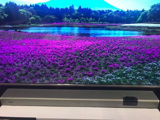 (Category: ) located in . Submitted by geesp (Listing ID 1125283115, Image 1). Description: .