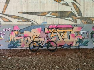 Specialized turbo levo