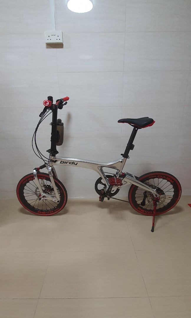 Underutilised Birdy City folding bike with modifications done, Sports Equipment, Bicycles