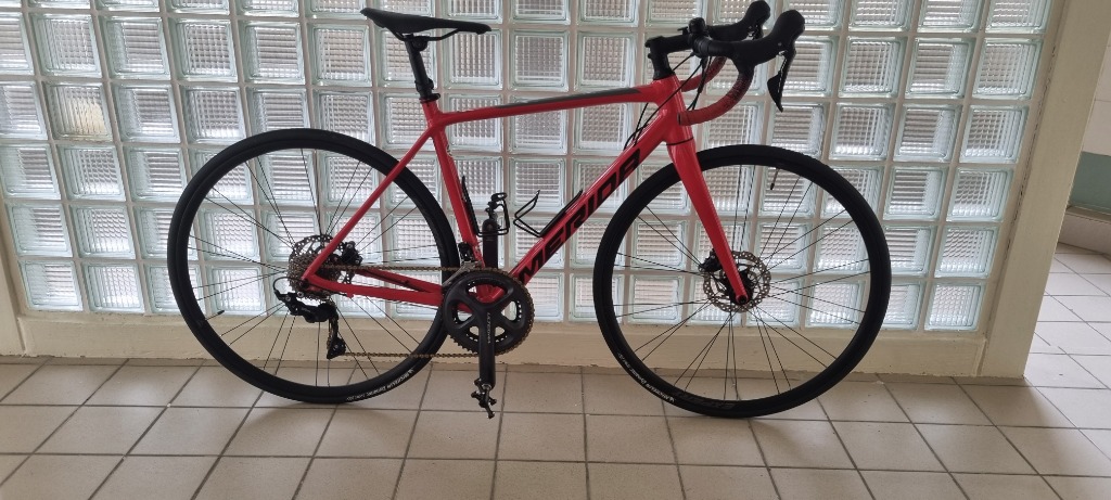 Merida scultura 2024 400 2021