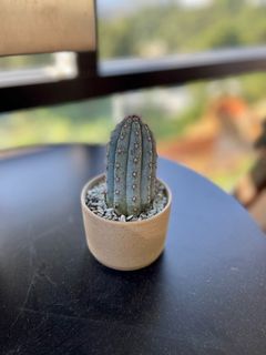 （分類：）位於 。 由 k.laplante 提交（商品編號 1089631117，圖片 1）。簡介： 。