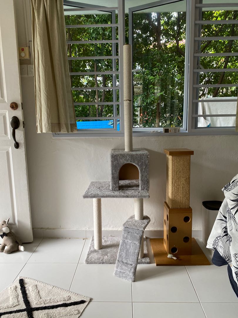 Cat tree (left only), Pet Supplies, Homes & Other Pet Accessories on
