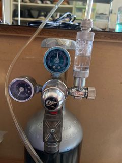 (Category: ) located in . Submitted by plantedtank09 (Listing ID 1125323098, Image 1). Description: .