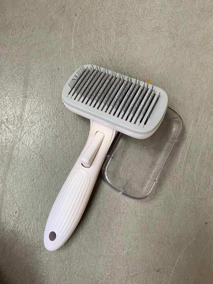 cavapoo grooming brush