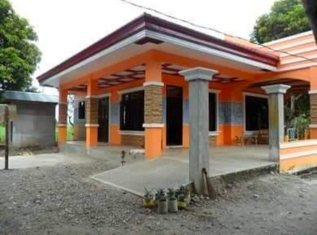HOUSE & LOT FOR SALE, KABANKALAN NEGROS OCCIDENTAL, Property, For Sale