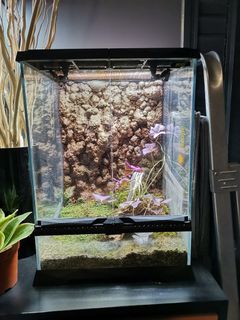 (Category: ) located in . Submitted by gail___ (Listing ID 1125319815, Image 1). Description: .