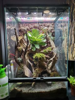 (Category: ) located in . Submitted by gail___ (Listing ID 1125321188, Image 1). Description: .