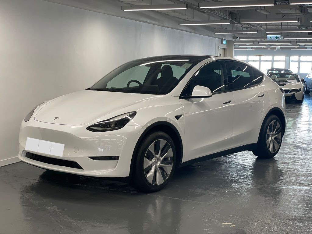 Sr sales model y