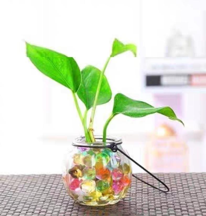 500g water bubbles ball plant and bath play, Hobbies & Toys, Toys