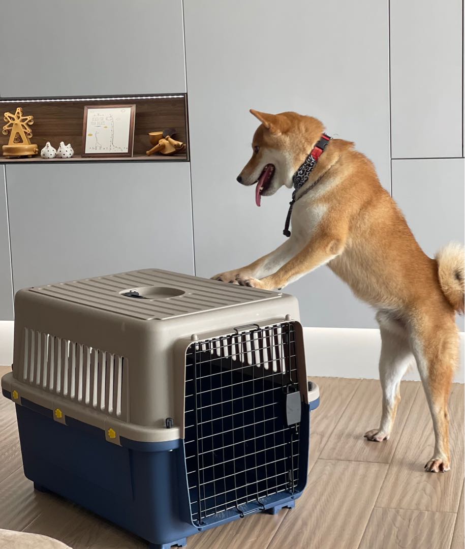 Airline approved Pet Carrier from Japan Pet Supplies Homes