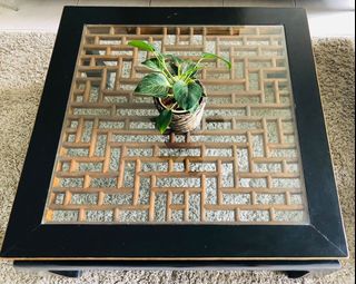 (Category: ) located in . Submitted by plantsnbakes (Listing ID 1125596742, Image 1). Description: .
