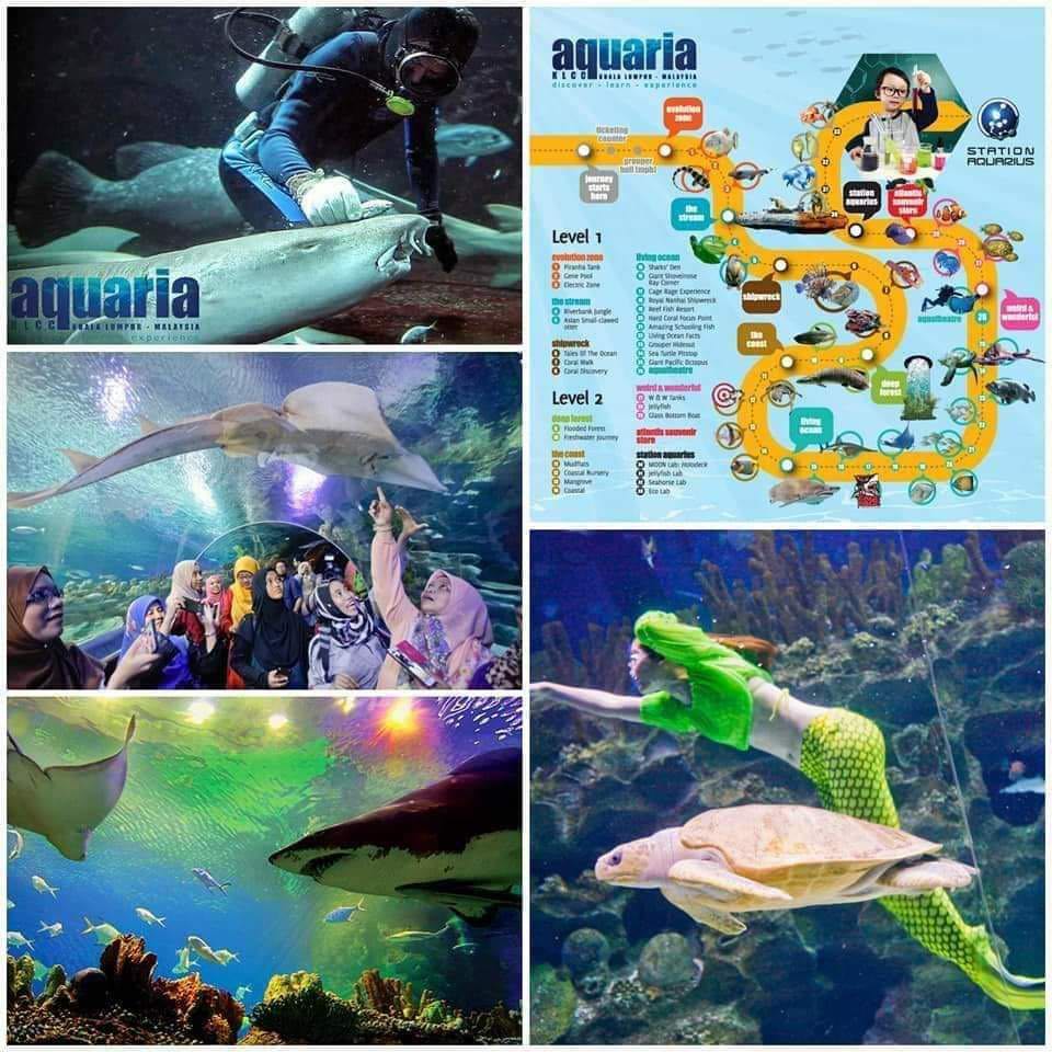 Aquaria KLCC, Tickets & Vouchers, Local Attractions and Transport on