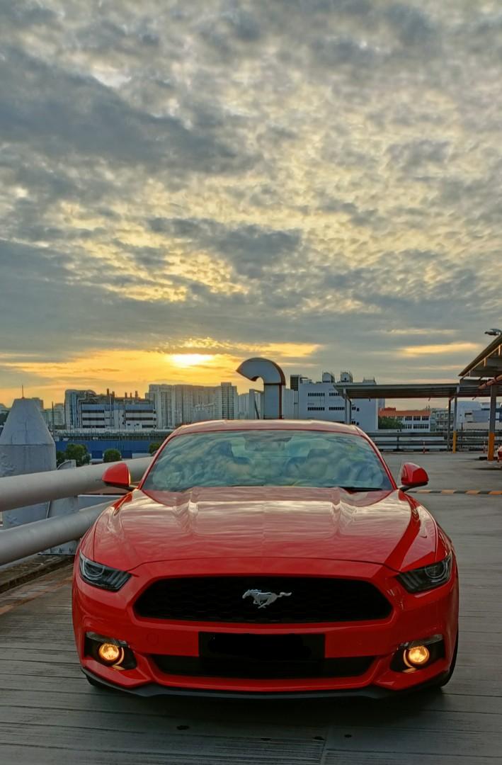Ford Mustang Magic Collar Kit, Car Accessories, Accessories on Carousell