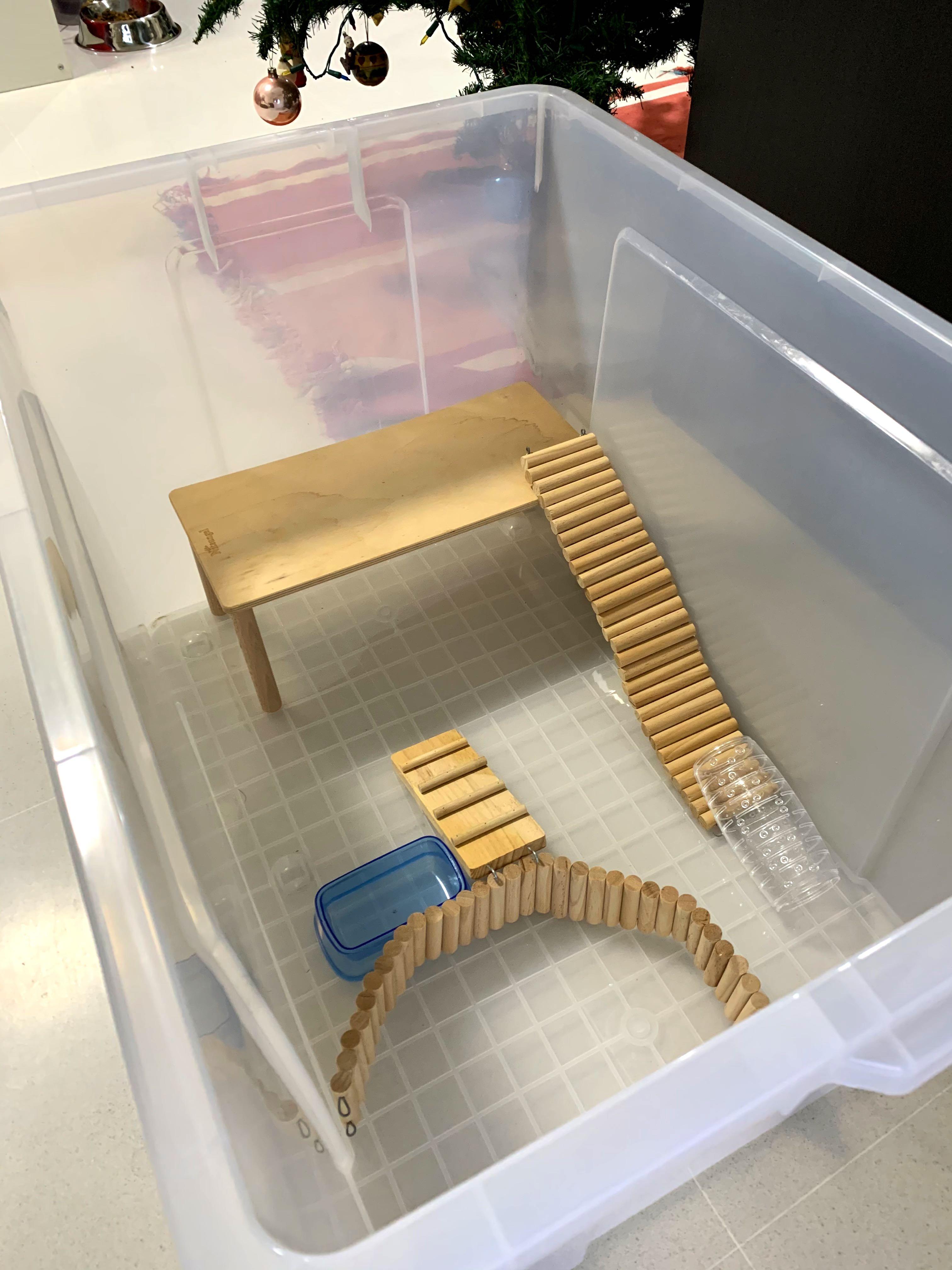Plastic box hamster cage clearance
