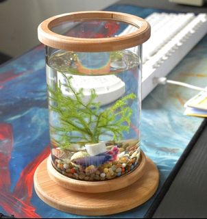 (Category: ) located in . Submitted by aquamaniacs (Listing ID 1125537577, Image 1). Description: .