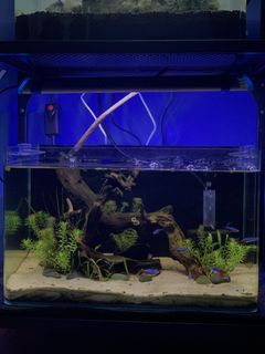 (Category: ) located in . Submitted by fishpsh (Listing ID 1125650985, Image 1). Description: .