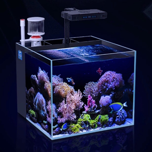 Nano tank marine freshwater starter kit internal overflow skimmer light all in one plug and play aquarium reef planted shrimp Pet Supplies Homes Other Pet Accessories on Carousell