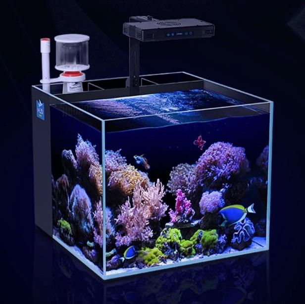 All in one deals marine tank