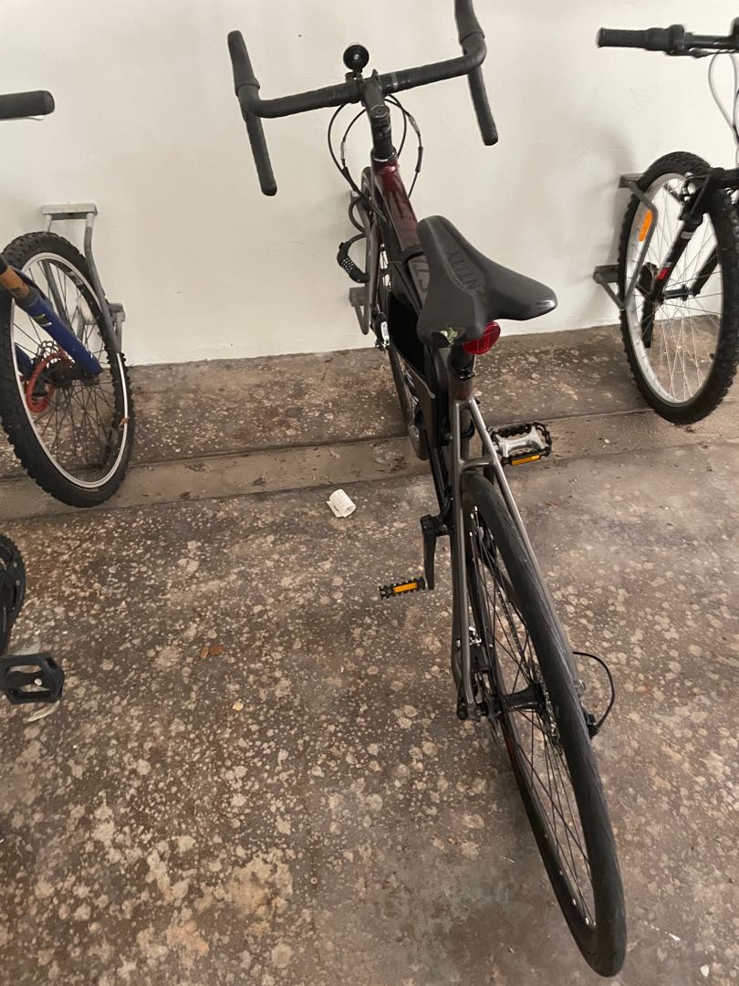 polygon s5 disc