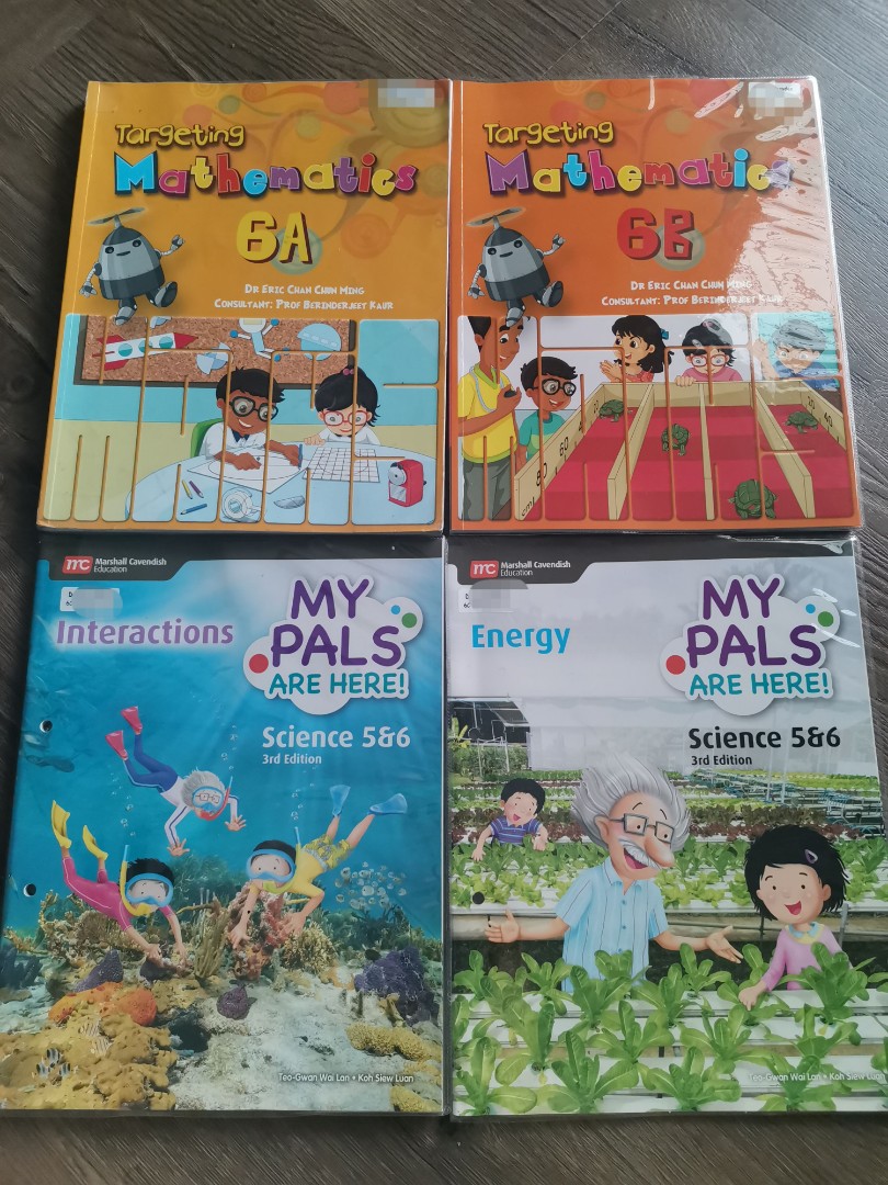 Primary 6 Textbooks, Hobbies & Toys, Books & Magazines, Textbooks on ...