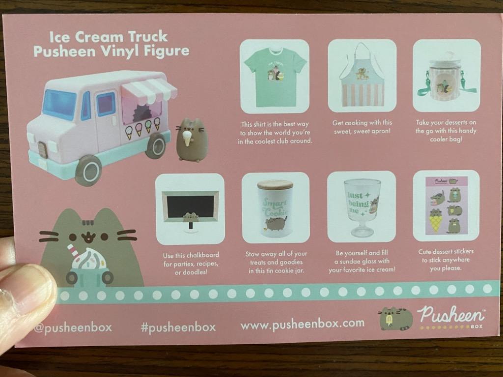 Pusheen Summer box, Hobbies & Toys, Toys & Games on Carousell