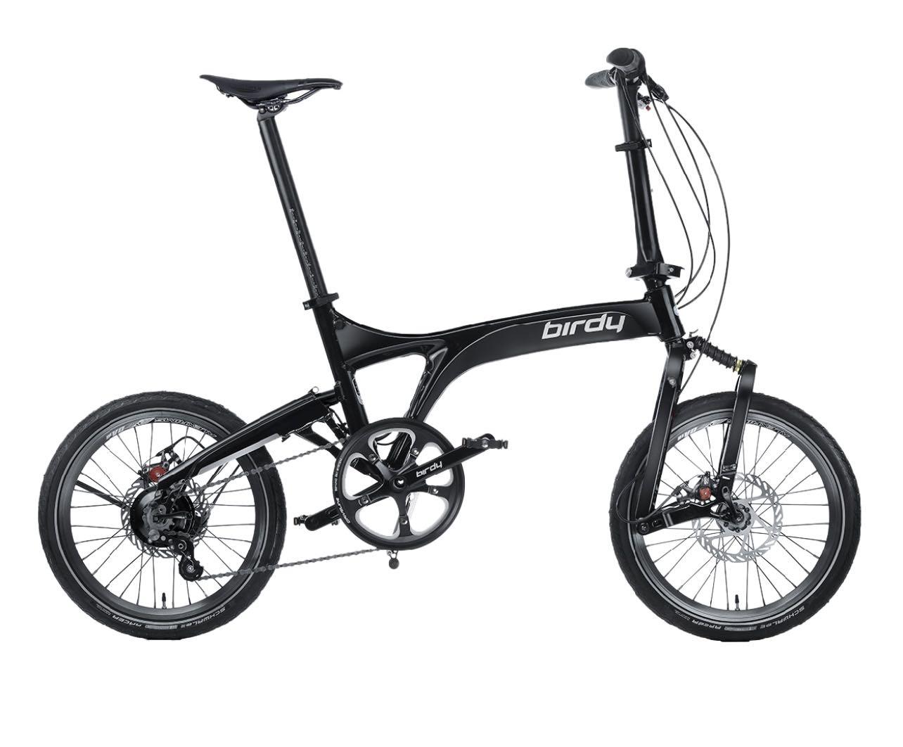 Birdy 2025 rohloff 2021