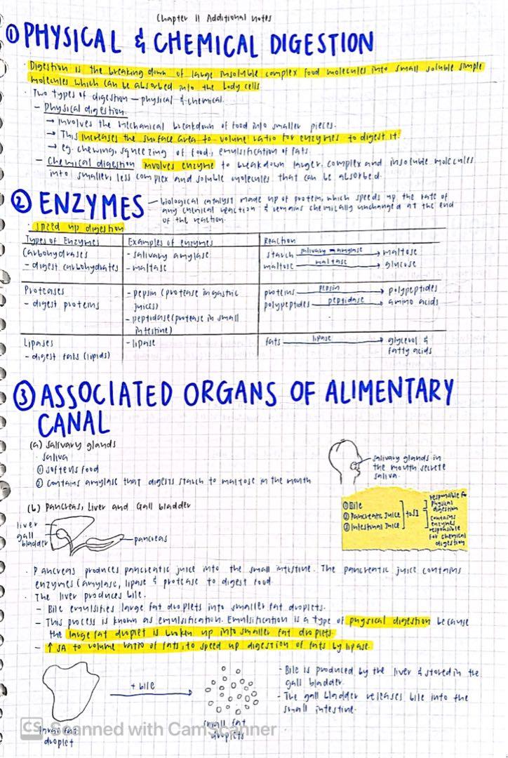 Sec 2 Science notes + quizlet + docs (combined science: physics biology ...