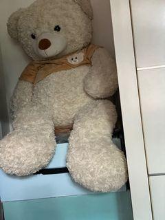 Affordable Teddy Bear Giant For Sale Toys Games Carousell Singapore
