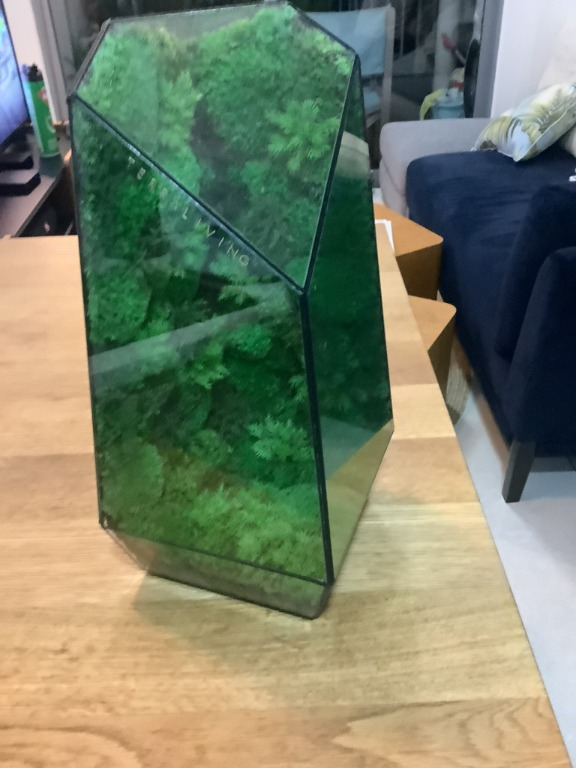 Terra Living Large terrarium with stand and lamp, Furniture & Home