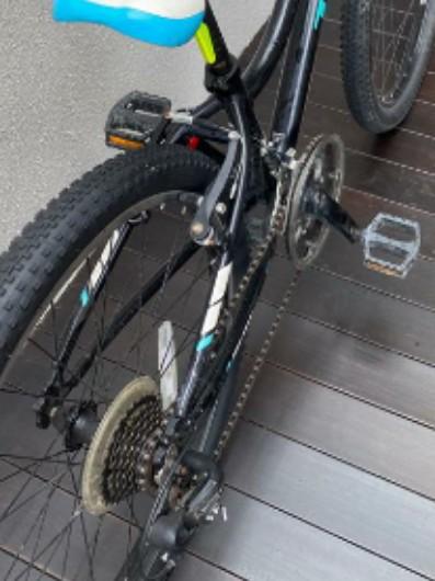 Trek Precaliber 24
