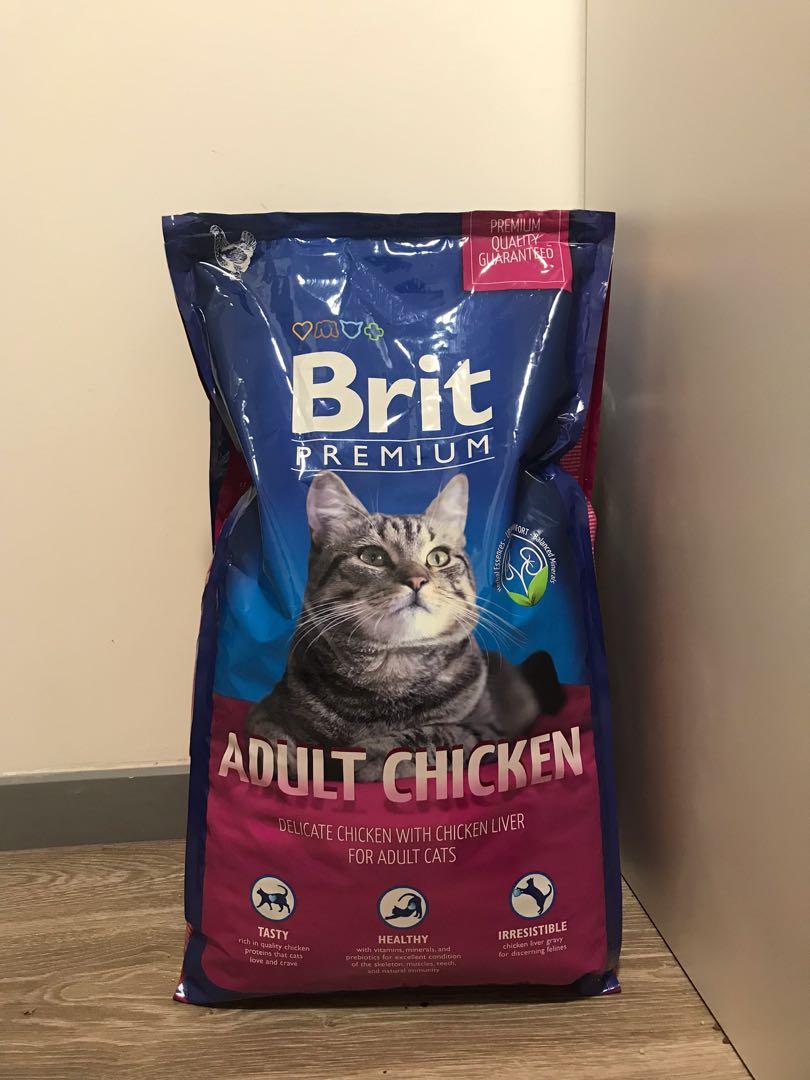 premium kibbles for cat