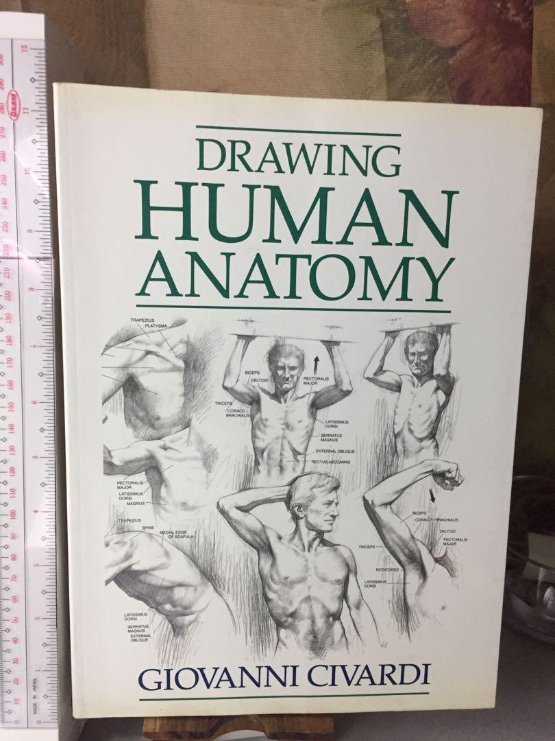 Drawing Human Anatomy by Giovanni Civardi 1995, Hobbies & Toys, Books