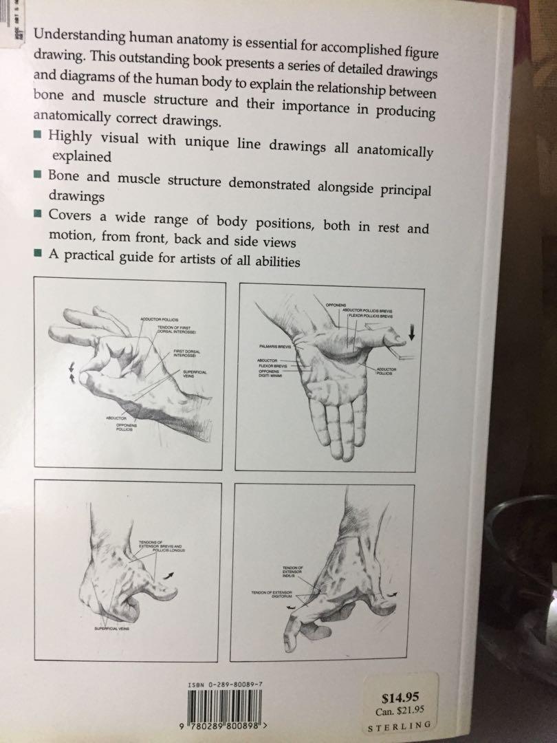 Drawing Human Anatomy by Giovanni Civardi 1995, Hobbies & Toys, Books