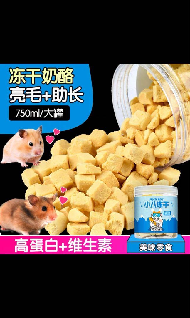 hamster snacks
