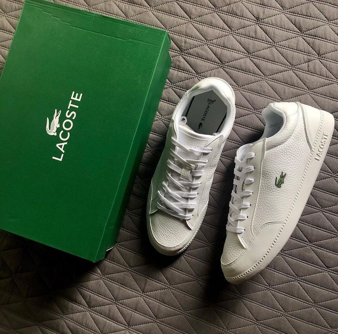 lacoste vertis north