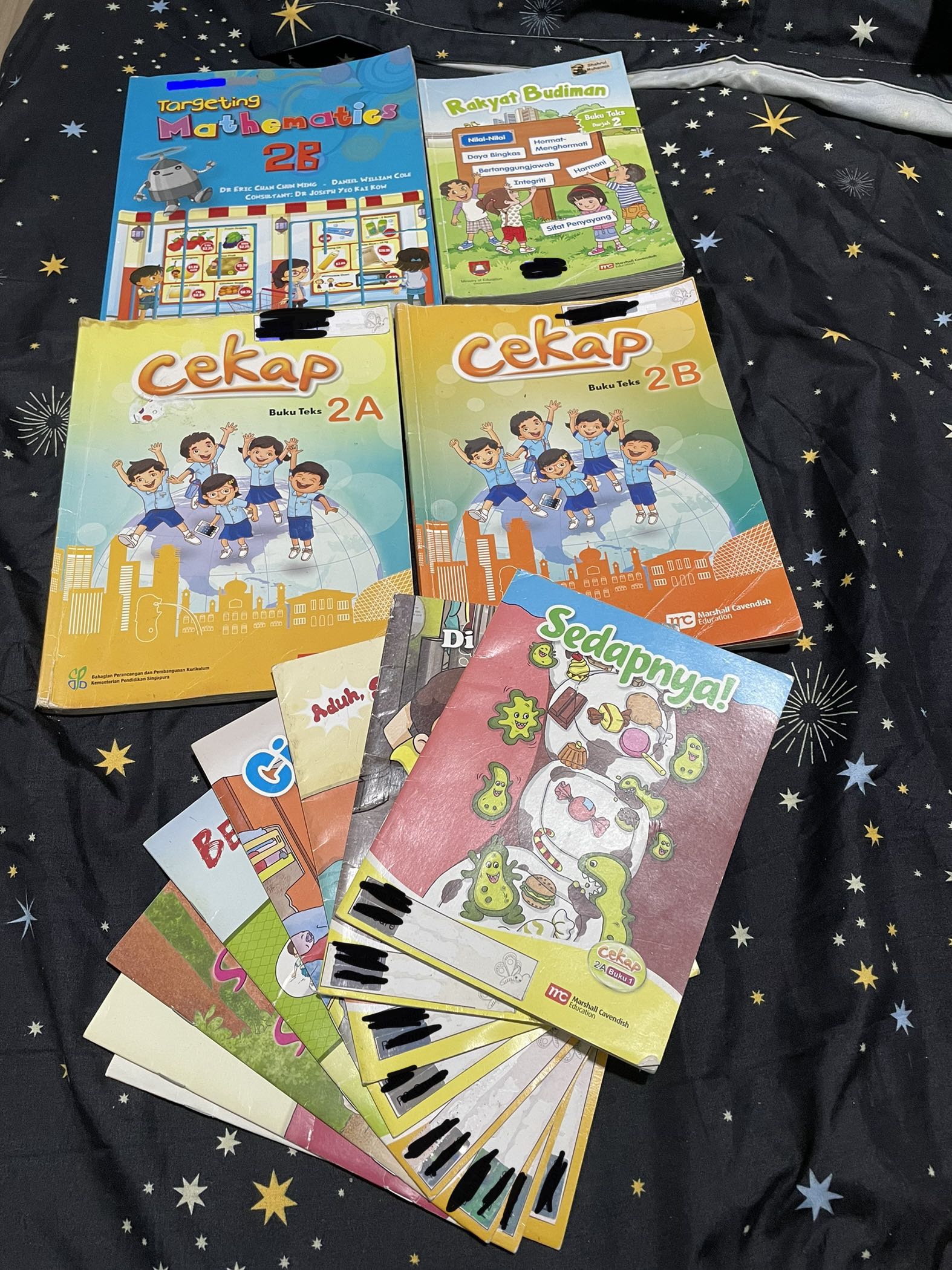 Primary 2 School Textbooks, Hobbies & Toys, Books & Magazines ...