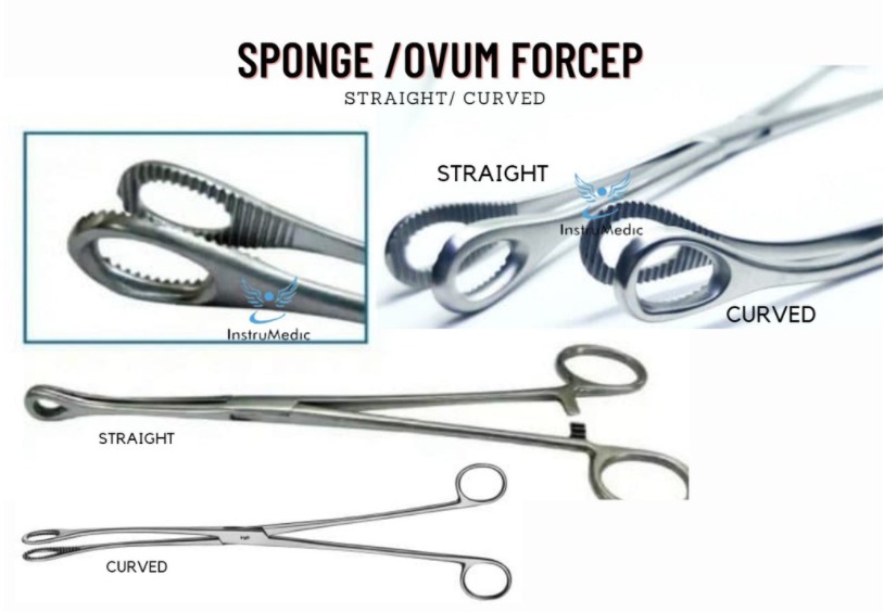 Sponge /Ovum forcep straight/ curved, Health & Nutrition, Medical