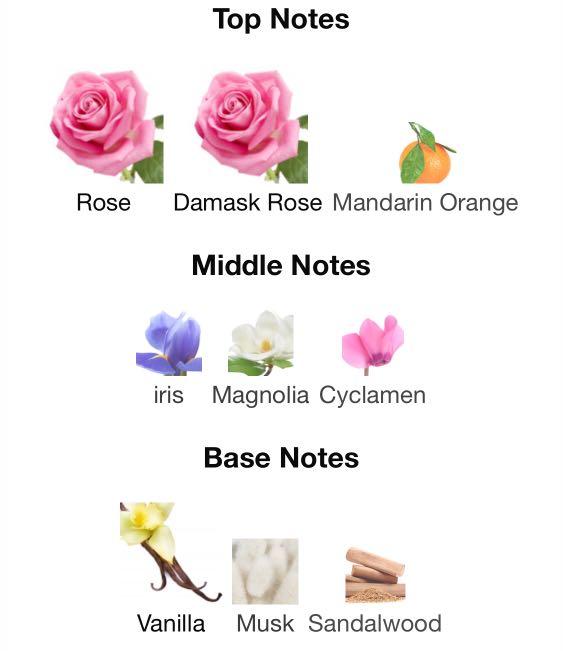 Vera wang rose buds and vanilla best sale