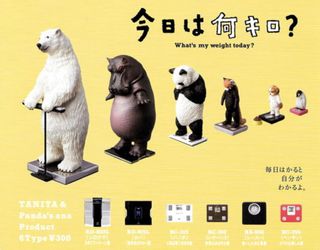（分類：）位於 。 由 hkccciive 提交（商品編號 1126068846，圖片 1）。簡介： 。