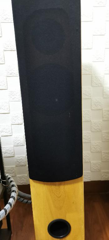 Custom shop tower speakers